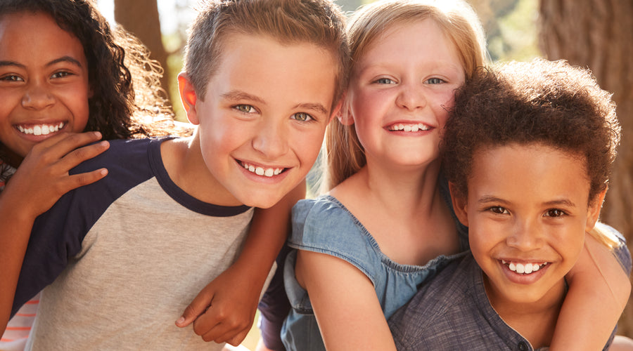 INCLUSION: EQUALITY OR DIVERSITY?
