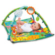 Carica immagine nella galleria, My First Discoveries Activity Gym

