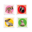 Carica immagine nella galleria, Baby Animals
