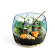 Carica immagine nella galleria, Harry Potter - Terrarium
