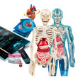 Carica immagine nella galleria, Anatomia Super!
