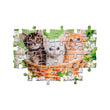 Carica immagine nella galleria, Brothers in Fur - 60 pezzi
