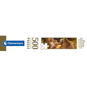 Feline Love - 500 pezzi