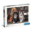 Carica immagine nella galleria, Lovely kittens - 1000 pezzi
